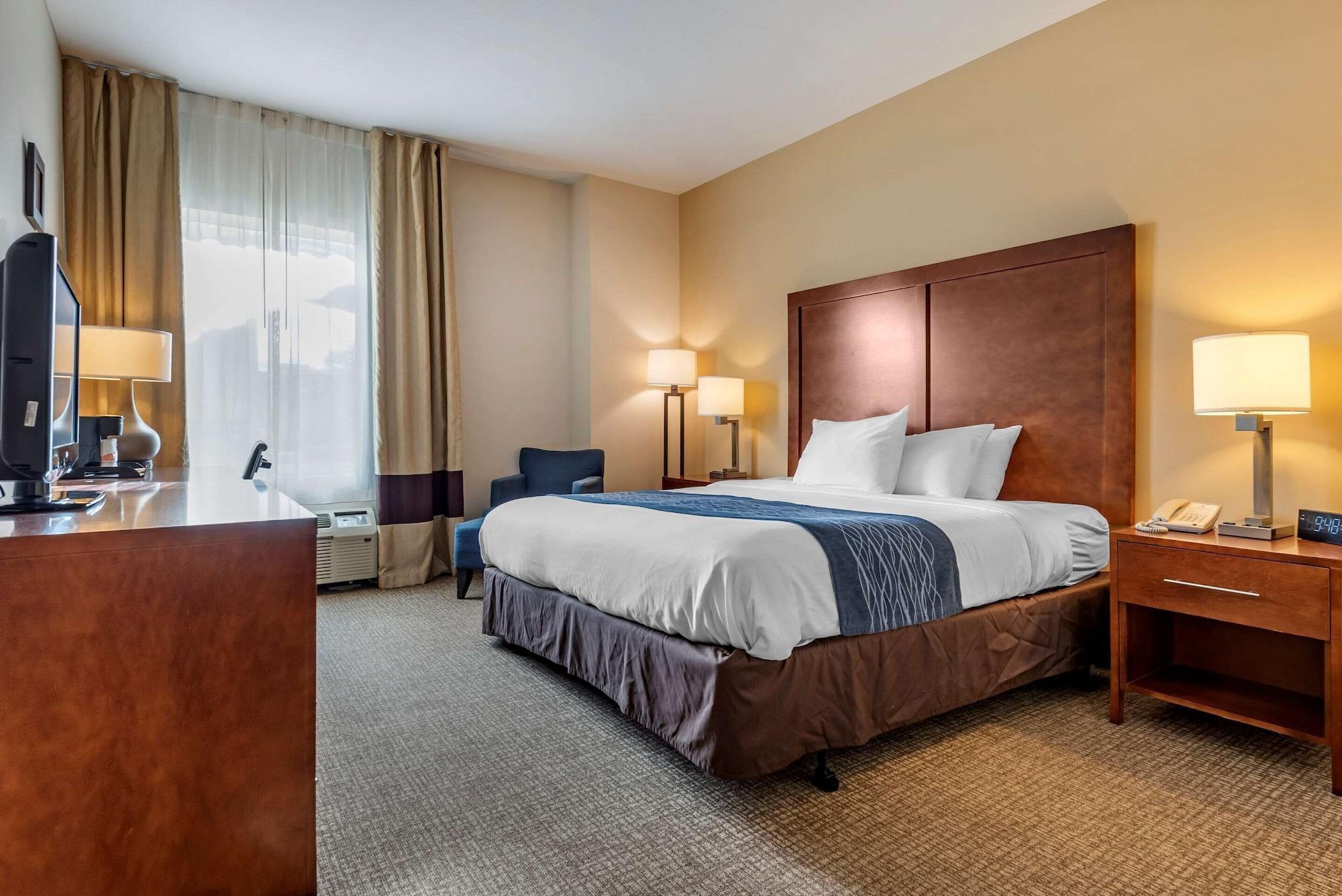 Comfort Inn Apalachin - Binghamton W Route 17 Exterior foto
