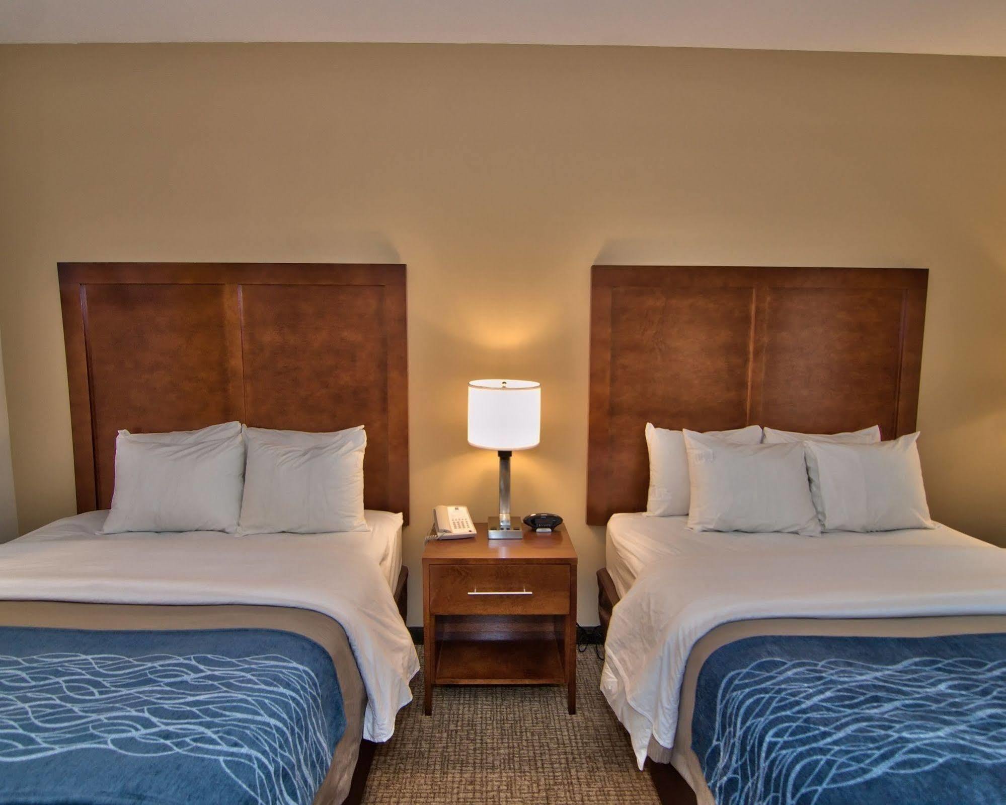 Comfort Inn Apalachin - Binghamton W Route 17 Exterior foto